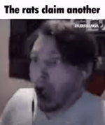 the rats claim another