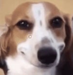 Bad to the bone Sound Effect