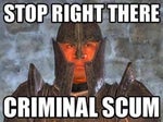 stop right there criminal scum