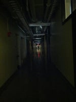 grzegorz brzeczyszczykiewicz