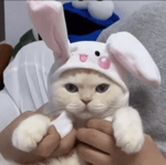 『チェンソーマン』ノンクレジットオープニング CHAINSAW MAN Opening│米津玄師 「KICK BACK」