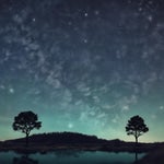 A love song to Lilly