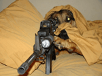NO - CT_BOT