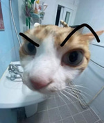 oh my god