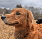 In da clurb we all fam