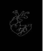 تفتفه شاص فلتر - Sound