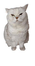 Another Victory For The OGs [REMIX] (256 kbps)