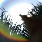 TRILLIUM HARDTEKK - Bearn (SPED UP) (copy)