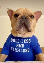 Yoshikage Kira Reveals Killer Queen English Dub