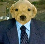 Pizza Tower The Noise Sfx