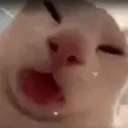 Доброе утро моя девочка - Sound