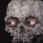 toothless dancing for 45 seconds straight