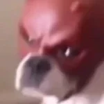 shorten-shivering-dog-meme-made-with-Voicemod