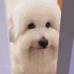 might have to touch you