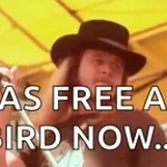 THE RIFF FROM FREEBIRD