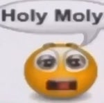 holy moly meme audiotrimmercom MS3MuKCs (1) - Sound