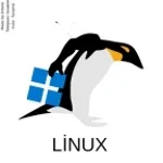 linux is misbehaving