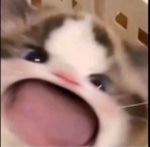 Xiao Ling (Full Song)