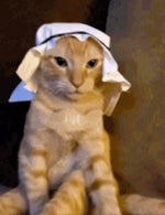 Help Me Sound Effect