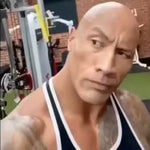 the rock sus