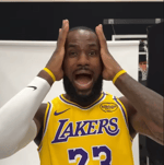 LEBRONNN lebron james Kawai