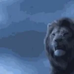 Rugido