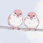 two birds on a wire