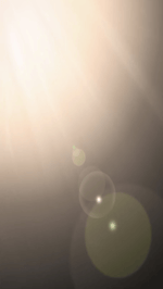 Cartoon Why We Lose (feat