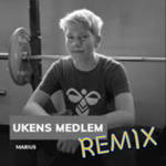 The Song Of Marius Elvheim (The Final Remix)