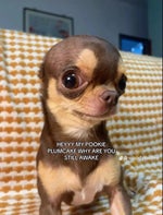 MAF Teeski Catch A B Official Music Video - Sound