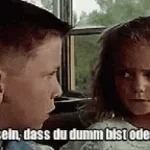 Kann es sein dass Du dumm bist oder sowas Greenscreen