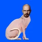 Villager`s lava chicken song