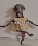 I SEE A BAD GIRL WALKIN