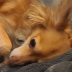 Hey Ya! Low quality - Sound