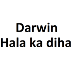 dar hala ka diha