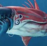 Warning; Entering Ecological Dead zone. Subnautica Below Zero