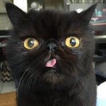 corpse saying thank you baby girl