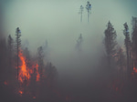 danger