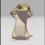 Lizard dance