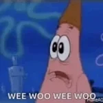 Weee woooo