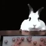 low quality breakcore (i made it)