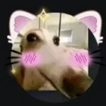 monkey bbox drop machine gun