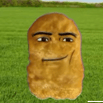 School Rooftop Funk - Sound