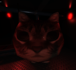 Æ Æ Æ Æ Æ Æ Æ Æ Æ - Sound