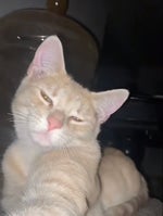 a villain not a monster