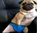 ITIM NA VAN SCOOP DOGG x DAARTH x SKINNY G x HELLMERRY x BUDDHA