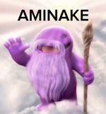 aminake