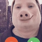 john pork is calling