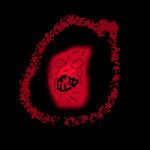 O kurwa 2