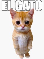 andrew tate bass boosted